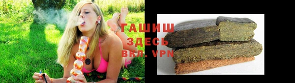 герыч Алексин