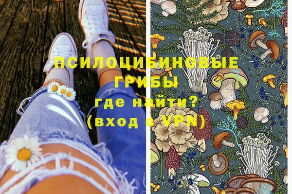 хмурый Абаза