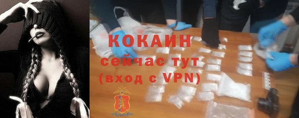 тгк Алзамай