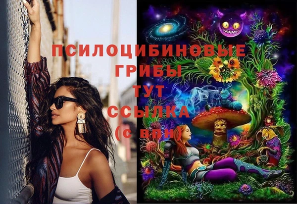 тгк Алзамай