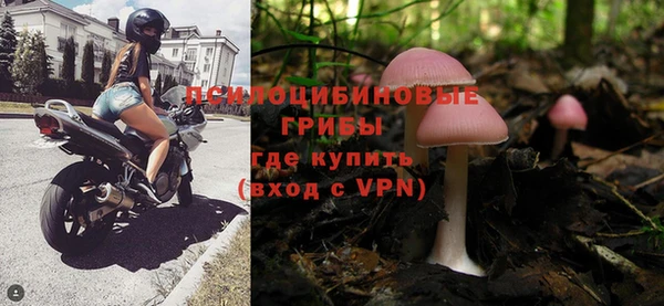 герыч Алексин