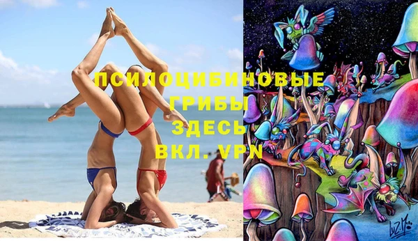 тгк Алексеевка