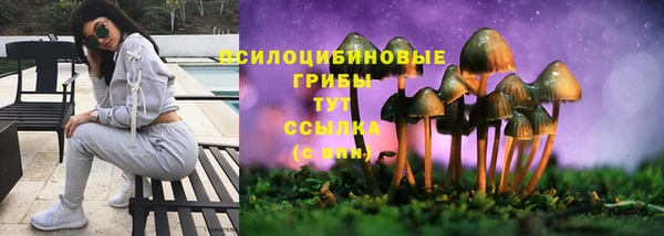 тгк Алзамай