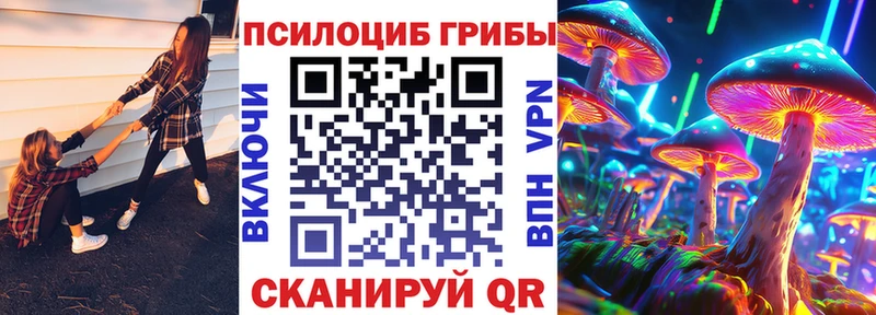 Псилоцибиновые грибы Psilocybe  Тихвин 