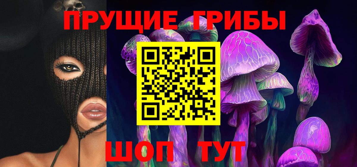 Псилоцибиновые грибы Cubensis Тихвин